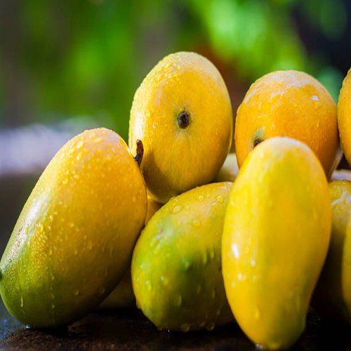 Kesar Mango
